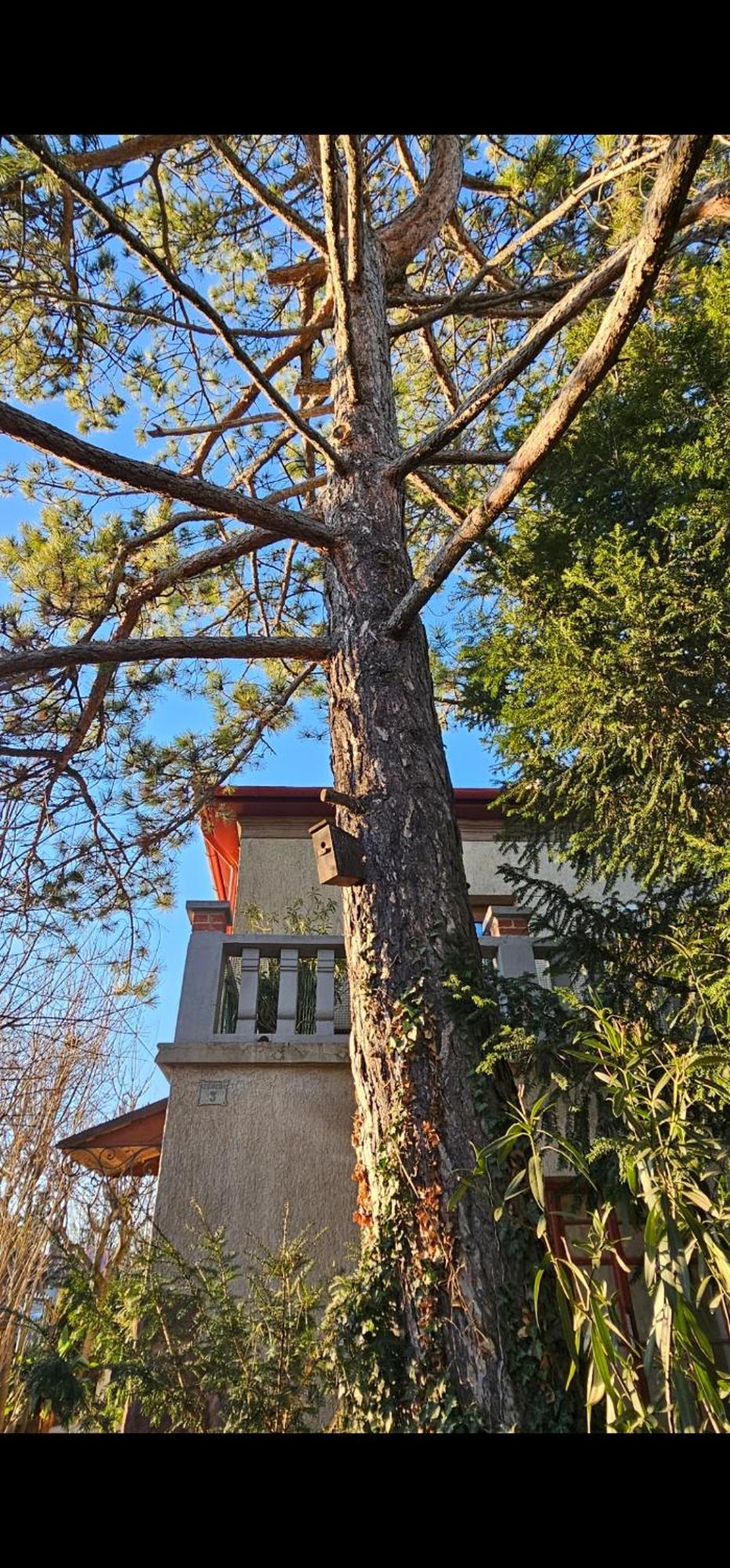 Kasza Villa Balatonfüred Exterior foto